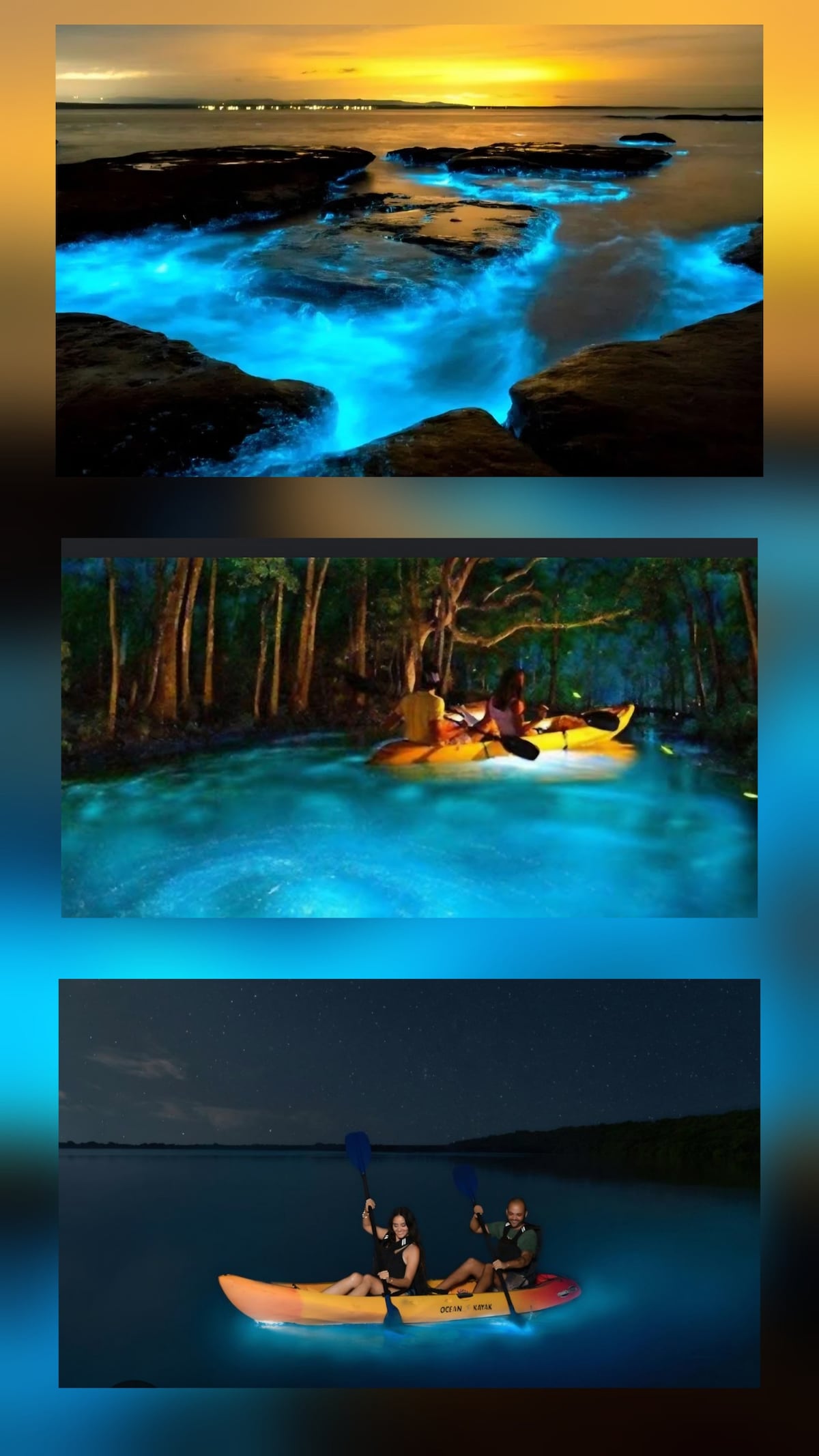 Bioluminescent bay kayaking at night near Fajardo