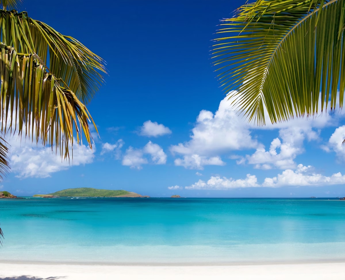 Palm-fringed turquoise beach in Fajardo, Puerto Rico